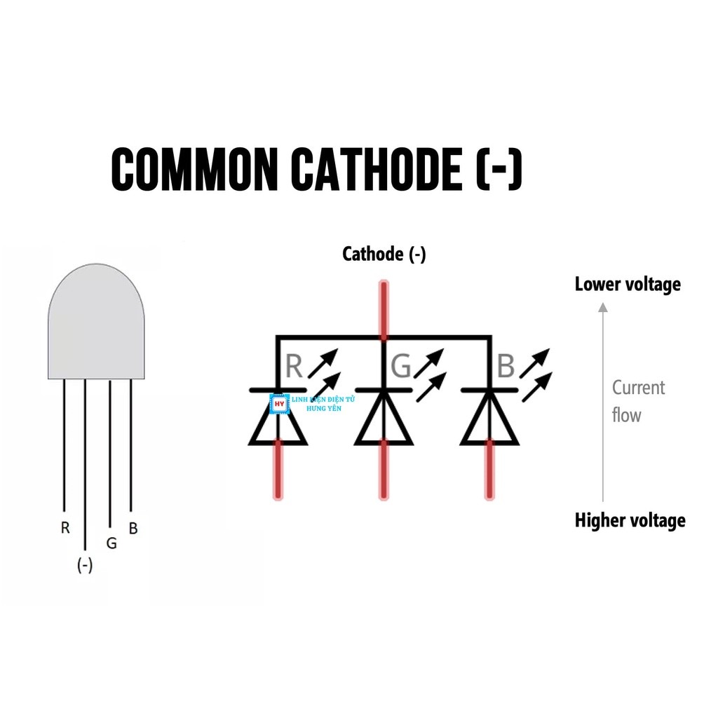 LED RGB 5mm 4 chân Âm Chung - Ảnh 3